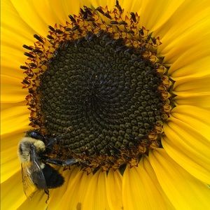 Meet your Posher, Val